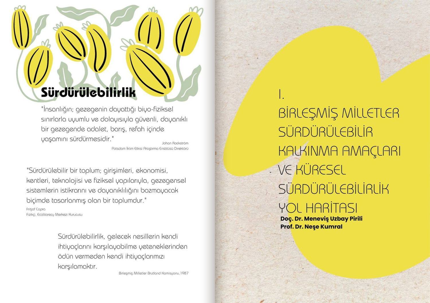 Sustainability · Chapter I