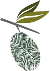 Zeytin Okulu