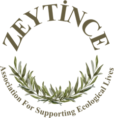 Zeytince